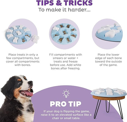 Outward Hound Nina Ottosson Puppy Smart Dog Puzzle Interactive Treat Puzzle Dog Enrichment Dog Toy for Puppies, Level 1 Beginner, Blue
