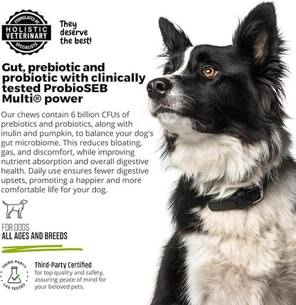 ANP Advanced Prebiotic & Probiotic Natural Chews for Dogs - No Animal Proteins, Gut Flora Health, Clinically Studied ProSEB Multi® for Digestive Health, including Diarrhea Relief and Bowel Stability