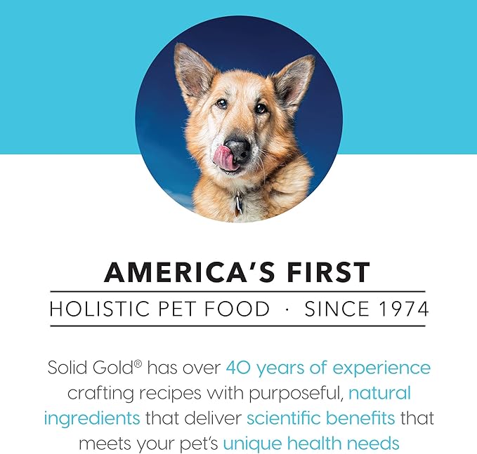 Solid Gold Canned Dog Food for Adult & Senior Dogs - Made with Real Chicken and Whole Grains - Star Chaser High Calorie Wet Dog Food for Healthy Digestion and Immune Support