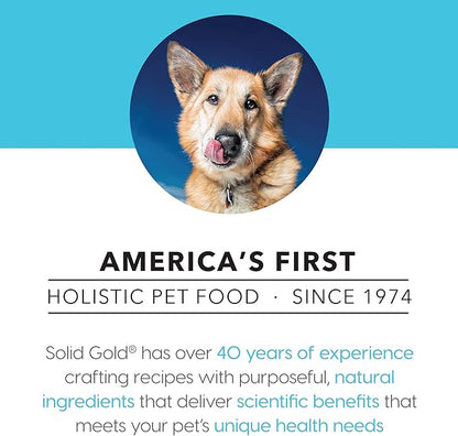 Solid Gold High Protein Wet Dog Food - Barking At The Moon Grain Free with Real Beef - 12Ct/13.2Oz Can