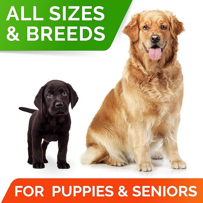 STRELLALAB Hemp Treats + Glucosamine for Dogs - Hip & Joint Supplement - w/Hemp Oil + Protein - Chondroitin, MSM, Turmeric to Improve Mobility & Energy - Natural Joint Pain Relief - Bacon Flavor