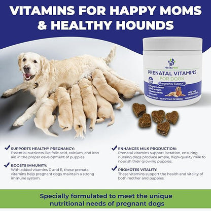 Prenatal Multivitamin Soft Chews for Dogs, 90 Count - Dog Prenatal Vitamins with Folic Acid, Zinc, and Calcium - Supports Milk Production - Delicious Chicken Flavor