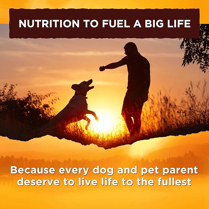 Nature's Recipe Grain Free Dog Food, Chicken, Sweet Potato & Pumpkin Recipe, 4 Pounds, Easy to Digest (Pack of 2)