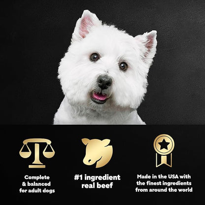 CESAR Adult Soft Wet Dog Food Filets in Gravy, New York Strip Flavor, 3.5 oz. Tray