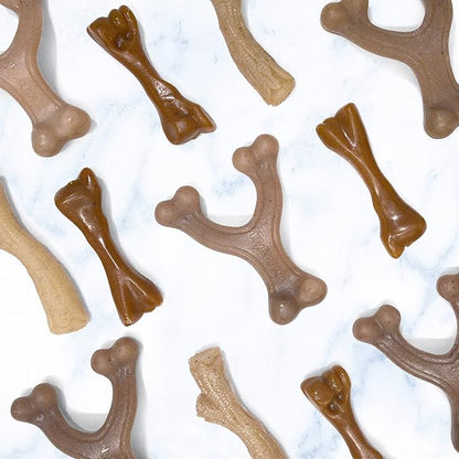 Nylabone Puppy Gourmet Style Strong Chew Toy Bacon Small/Regular (1 Count)