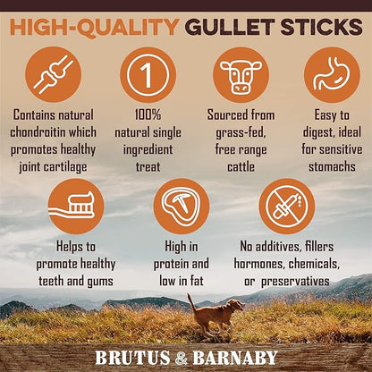 Gullet Sticks for Dogs, All Natural Single Ingredient Beef Jerky Chews, Healthy Beef Gullet Sticks, Naturally Occurring Glucosamine & Chondroitin, Can Help Joint Function for Puppies or Senior Dogs