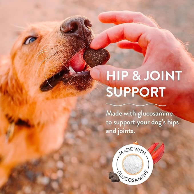 Shameless Pets Soft-Baked Dog Treats, Lobster Rollover - Natural & Healthy Dog Chews for Hip & Joint Support with Glucosamine - Dog Biscuits Baked & Made in USA, Free from Grain, Corn & Soy - 1-Pack