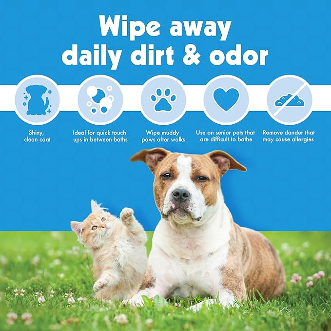 Petkin Jumbo Pet Eye Wipes, 80 Extra Moist Wipes - Gentle Eye Cleansing Wipes Remove Dirt, Discharge, & Tear Stains - Safe, Convenient, & Easy to Use Pet Wipes for Dogs, Cats, Puppies & Kittens