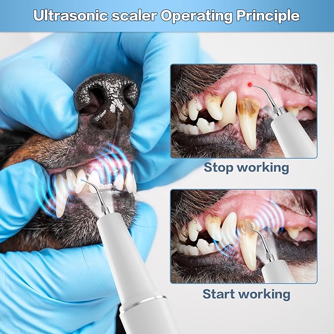 Dog Plaque Remover for Teeth, Dog Tooth Brushing Kit for Tartar, 5 Modes Pet Dog Teeth Cleaning, Dog Pet Puppy Dental Toothbrush Tool, Pet Teeth Cleaning Suitable for Dog/Cat