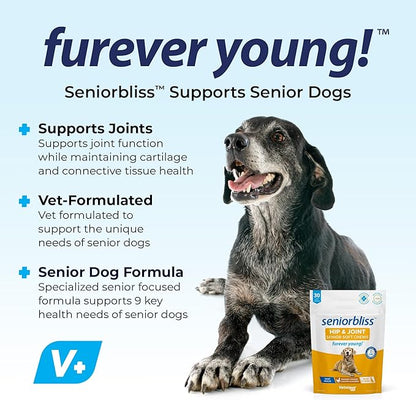Vetnique Seniorbliss Senior Dog Joint Supplement with Glucosamine and Chondroitin for Dogs Joint Support and Healthy Cartilage Development - for Small & Large Breeds (Hip & Joint Chew, 30ct)