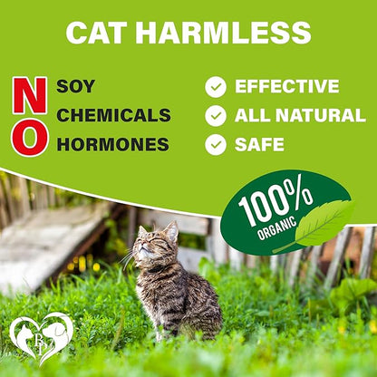 Flea and Tick Prevention Chewable Pills for Cats - Revolution Oral Flea Treatment for Pets - Pest Control & Natural Defense - Chewables Small Tablets Made in USA (Salmon Fish (for Cats))