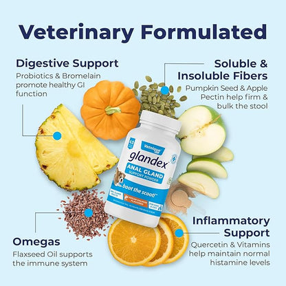 Glandex Dog Fiber Supplement Powder for Anal Glands with Pumpkin, Digestive Enzymes & Probiotics - Vet Recommended Healthy Bowels and Digestion - Boot The Scoot (Vegan Salmon, 4.0oz Powder)