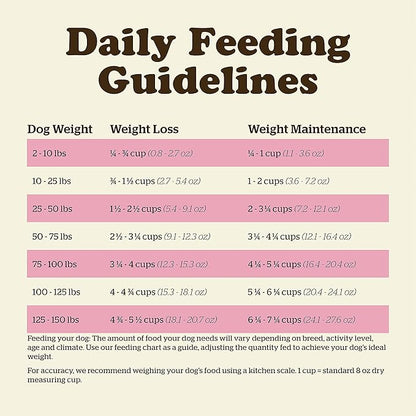 Now Fresh Grain Free Dog Food, 22 lb - Red Meat Dry Dog Food Recipe for Adult Dogs with Real Meat for Protein - for Small, Medium and Large Breeds