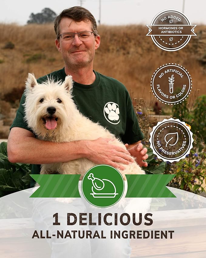 Wiley's Turkey Jerky Pet Treats | Grain Free Dog Jerky Treats Made in USA | All Natural Pet Treats for Dogs | Turkey Dog Treats (Turkey, 16 oz. bag)