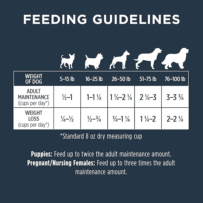 Instinct Raw Boost Grain Free Recipe with Real Salmon Natural Dry Dog Food by Nature's Variety, 19 lb. Bag