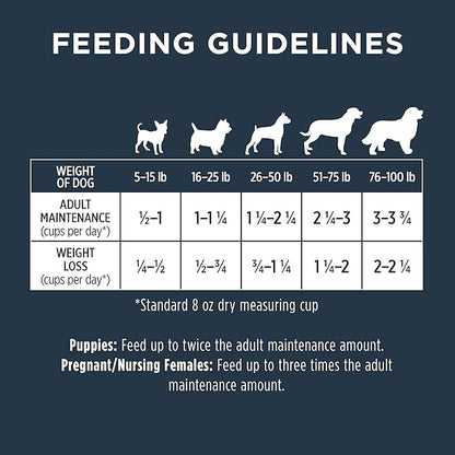 Instinct Raw Boost Grain Free Recipe with Real Salmon Natural Dry Dog Food by Nature's Variety, 19 lb. Bag