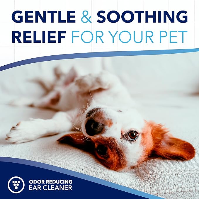 TropiClean Oxymed Cat & Dog Ear Cleaner Solution - Preventative Ear Infection Treatment For Dogs & Cats 4 Ounce