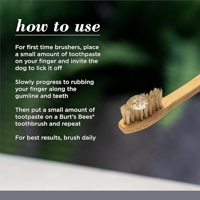 Burt's Bees for Pets Care Plus + Charcoal & Coconut Oil Brightening Toothpaste & Toothbrush - Naturally Derived Dog Toothpaste and Toothbrush Kit - Dog Oral Care Dog Toothpaste Kit, 2.5 Oz