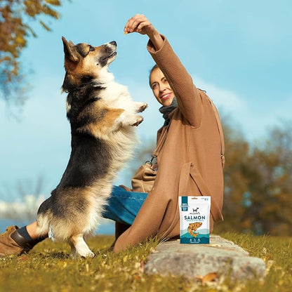 McLovin's Salmon Freeze Dried Treats, 3x2.5oz (7.5oz), High-Protein Grain-Free Dog Training Rewards, All-Natural, Made in USA