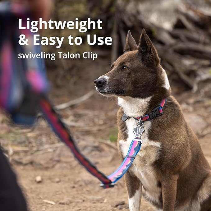 Ruffwear, Crag Ex Leash, Extendable Dog Leash, Hand-Held or Waist-Worn Reflective Lead, Rising Wave