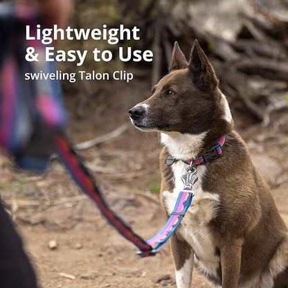 Ruffwear, Crag Ex Leash, Extendable Dog Leash, Hand-Held or Waist-Worn Reflective Lead, Rising Wave