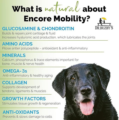 Dr. Buzby’s Encore Mobility Hip & Joint Supplement for Senior Dogs, 90 Chewable Tablets, Natural New Zealand Deer Velvet and Green Lipped Mussel, Pet Pain Relief
