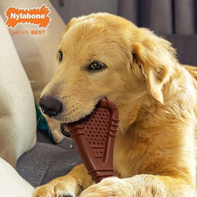 Nylabone Power Chew Arch Bone Dog Dental Chew Toy Large - Up to 50 lbs.