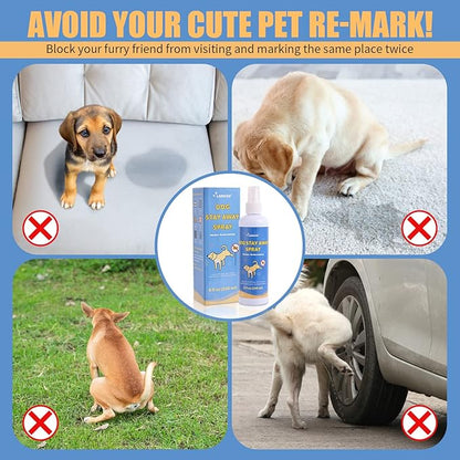 8 oz Pet Behavior Training Spray - Discourage Dog Peeing in Unwanted Areas - Safe and Gentle - Not Here Dog Spray - Achieve Positive Training Outcomes