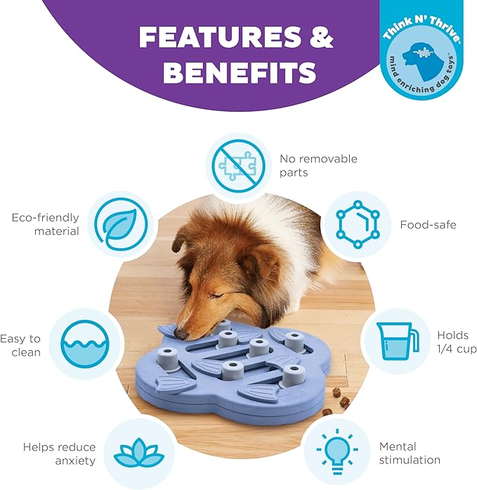 Outward Hound Nina Ottosson Dog Hide N' Slide Dog Puzzle Interactive Treat Puzzle Dog Enrichment Dog Toy, Level 2 Intermediate, Purple, Composite