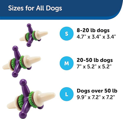 PetSafe Busy Buddy Treat Holding Jack Dog Toy – Strong Chewers - Challenging - Treat Rings Included - Small