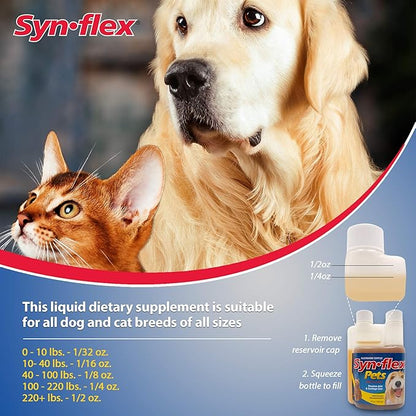 America Synflex for Pets - Liquid Glucosamine Joint Complex for Dogs, Cats - Senior Canine & Feline Chondroitin Juice Care Supplement - Helps Support Joint and Cartilage Health - Beef Flavor