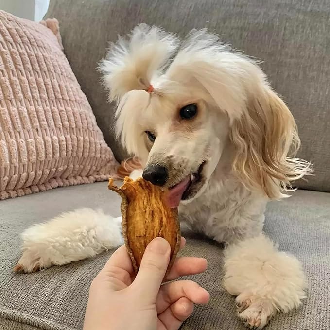 Pupford Sweet Potato Jerky Treats for Large & Small Dogs of All Ages | Made in USA, Single Ingredient & No Fillers | Dogs Love These Tasty Dog Snacks (Sweet Potato 4 oz)