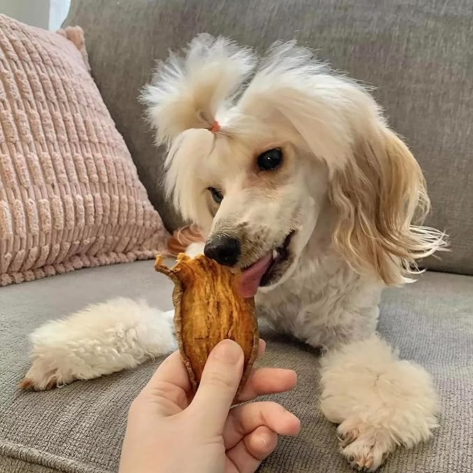 Pupford Sweet Potato Jerky Treats for Large & Small Dogs of All Ages | Made in USA, Single Ingredient & No Fillers | Dogs Love These Tasty Dog Snacks (Sweet Potato 8 oz)