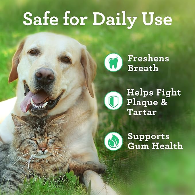 Dr. Joseph’s VetPro Advanced Dog Dental Wipes, 50 Count, Easy Teeth Cleaner for Dogs and Cats with Peppermint and Spearmint, Freshens Breath, Reduces Tartar