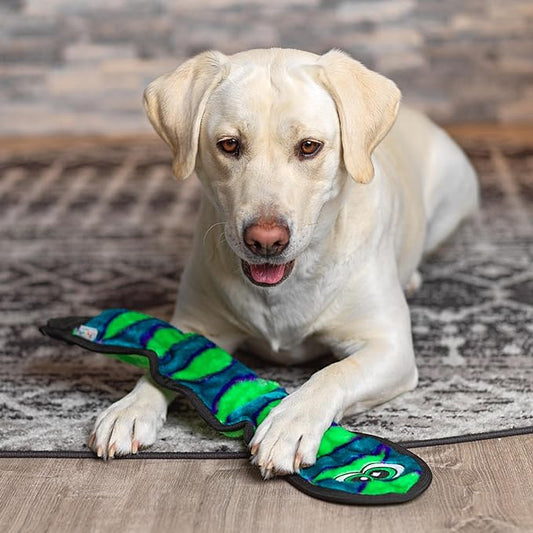Outward Hound Durablez Tough Plush Squeaky Dog Toy, Snake, Blue, Large