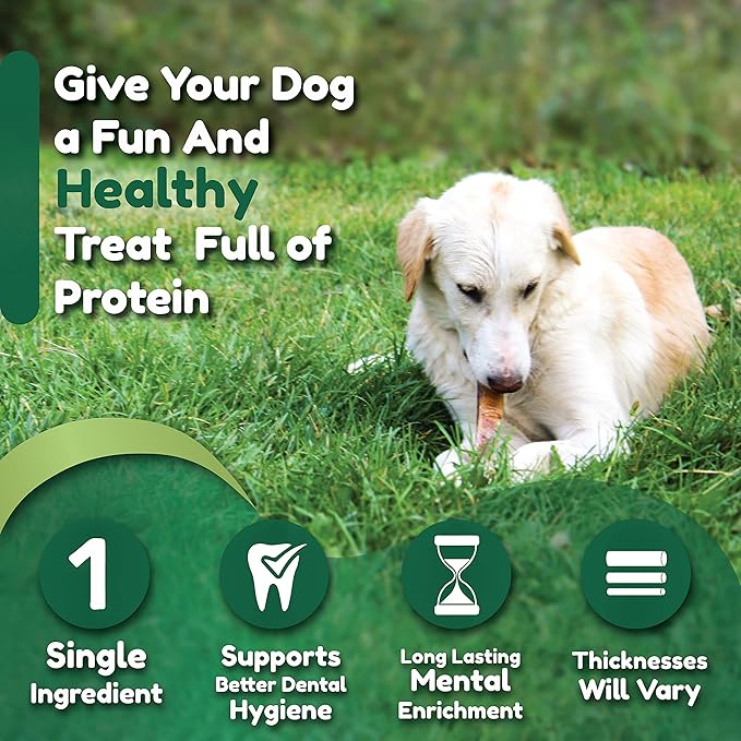 Premium European Beef Bully Sticks 6" - 100% Extra Lean Bully Bones Rawhide-Free & Odor-Free Dog Treats for Small, Medium and Large Dogs | Long Lasting Dental Dog Chews - Pack of 30