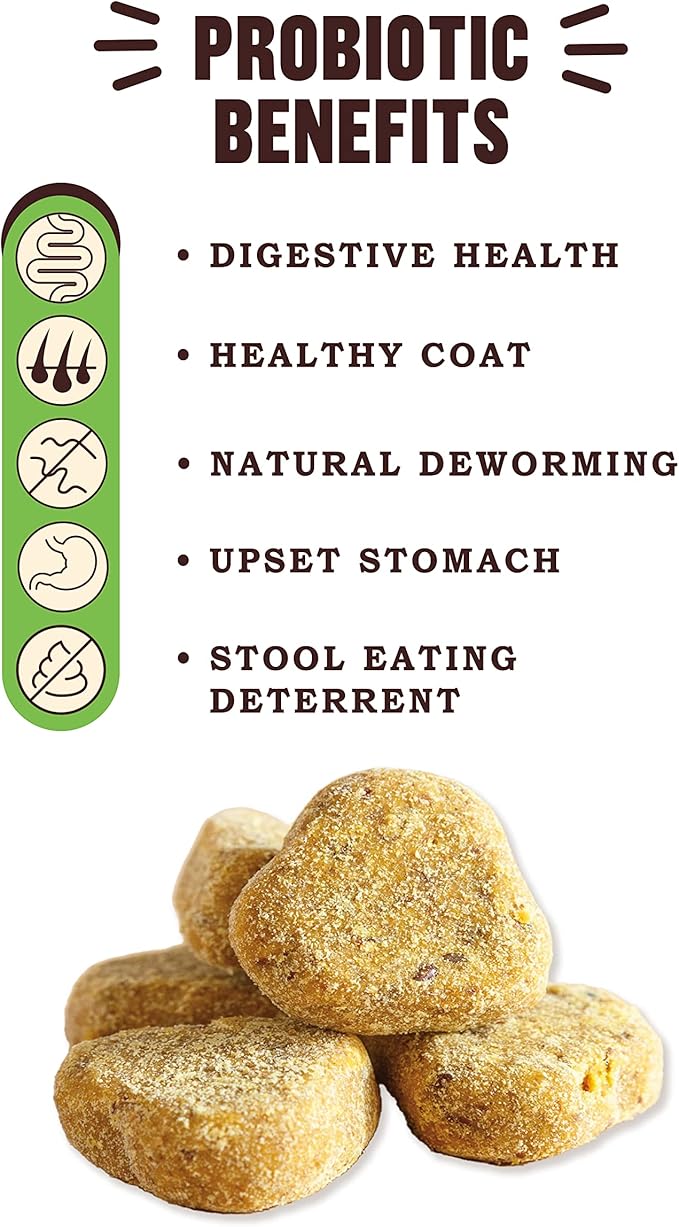 What's Barking Pumpkin Ginger Soft Chews - Premium Chewy Dog Treats, Probiotic, Natural Ingredients, No Wheat, Made in USA - 6 oz (Pack of 1)