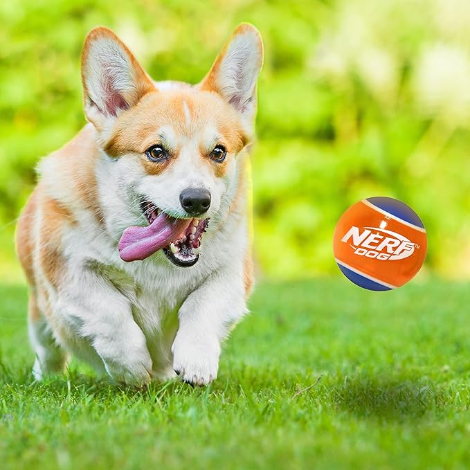 Nerf Dog Rubber Tennis Ball Dog Toys with Interactive Squeaker, Lightweight, Durable and Water Resistant, 2 Inches, for Small/Medium/Large Breeds, Two Pack, Mixed Colors 2Count(Pack of 1)