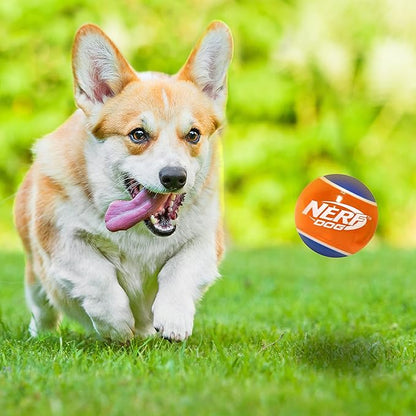 Nerf Dog Rubber Tennis Ball Dog Toys with Interactive Squeaker, Lightweight, Durable and Water Resistant, 2 Inches, for Small/Medium/Large Breeds, Two Pack, Mixed Colors 2Count(Pack of 1)