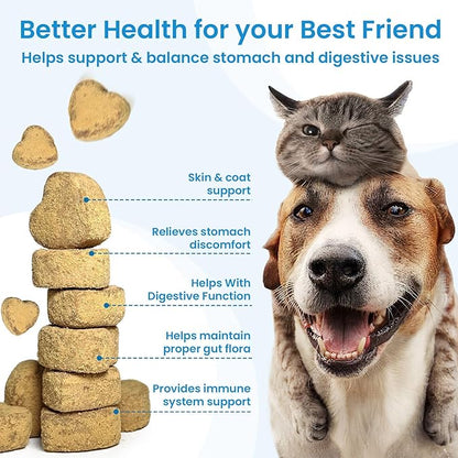 Probiotics for Dogs - Dog Probiotics for Gut Health & Digestive Health, Support Immune System, Diarrhea & Seasonal Allergies, Dog Supplement with Prebiotics & Digestive Enzymes, 180 Soft Chews