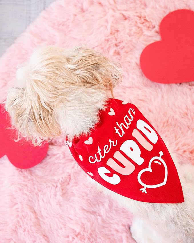 Pearhead Holiday Pet Bandana, Valentine's Day Outfit for Pets, Slide-On Bandana, Dog or Cat Apparel Accessory, Cuter Than Cupid, Small/Medium, S/M