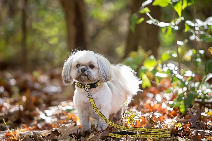 Pets First NHL Boston Bruins Leash for Dogs & Cats, Walk Cute & Stylish! The Ultimate Hockey Fan Leash!, Large (6 ft Long x 1 in Width) (BRU-3031-LG)