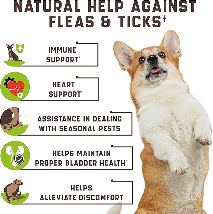 Flea and Tick Prevention Chewable for Dogs - No Collars, No Mess - Easy Help with Flea and Tick for Dogs - American Quality - for All Breeds and Ages - Duck-Flavored Treats - 180 Flea Chews for Dogs