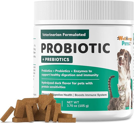 Wellnergy Daily Probiotic & Prebiotics Soft Chew for Dogs & Cats - Digestive Support for Diarrhea, Constipation, Upset Stomach, Indigestion & Gas - Helps Digestion, Allergy Skin & Immune Health 70ct