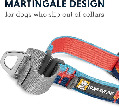 Ruffwear, Web Reaction Dog Collar, Martingale Collar for On-Leash Walking, Sunset, 20"-23"