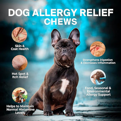ALFIE'S CHOICE Dog Allergy Relief Chews - Allergy & Itch Relief Dogs Support Supplement, Probiotic Blend with Salmon Oil & Turmeric - Chicken Flavor Dog Allergy Chews Itchy Skin, 12 oz, Appx 160 Count
