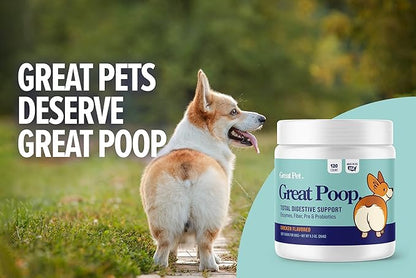 Great Poop Probiotics for Dogs - Fiber for Dogs Supplement with Dog Probiotics and Digestive Enzymes for a Healthy Gut, Firm Stool & Diarrhea Relief - Chicken Flavored Pet Soft Chews with Prebiotics
