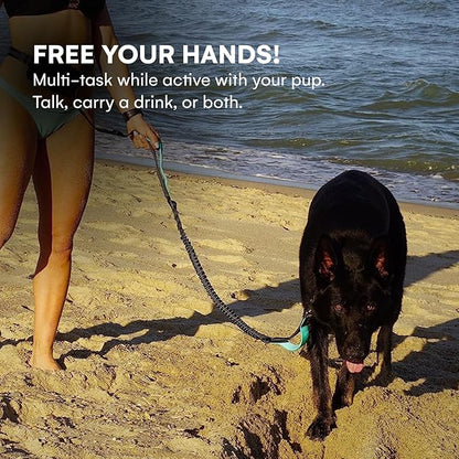 Black Rhino - Premium HANDS FREE DOG LEASH for Running Walking Jogging & Hiking - Adjustable Length Dual Handle Bungee Leash Medium – Large Dogs Neoprene Padded Handles - Running Pouch Included Aqua