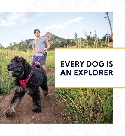 Ruffwear, Crag Dog Collar, Reflective and Comfortable Collar for Everyday Use, Sunset, 11"-14"
