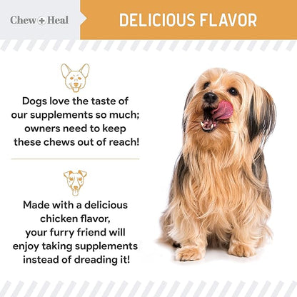 Salmon Oil for Dogs - 60 Soft Chew Omega Treats for Skin and Coat - Fish Oil Blend of Essential Fatty Acids, Omega 3 and 6, Vitamins, Antioxidants and Minerals - Made in USA